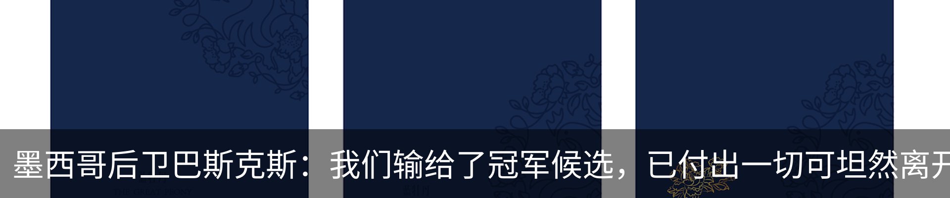 内页banner