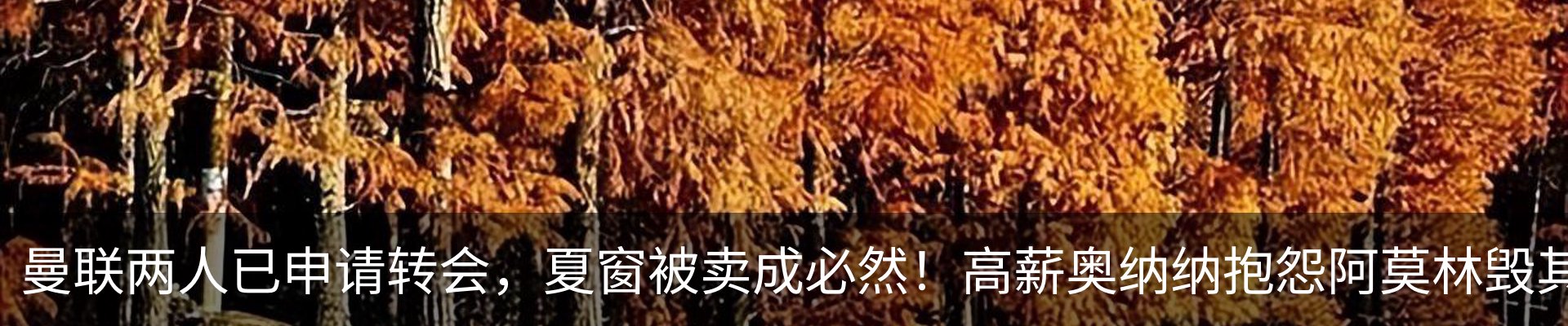 内页banner